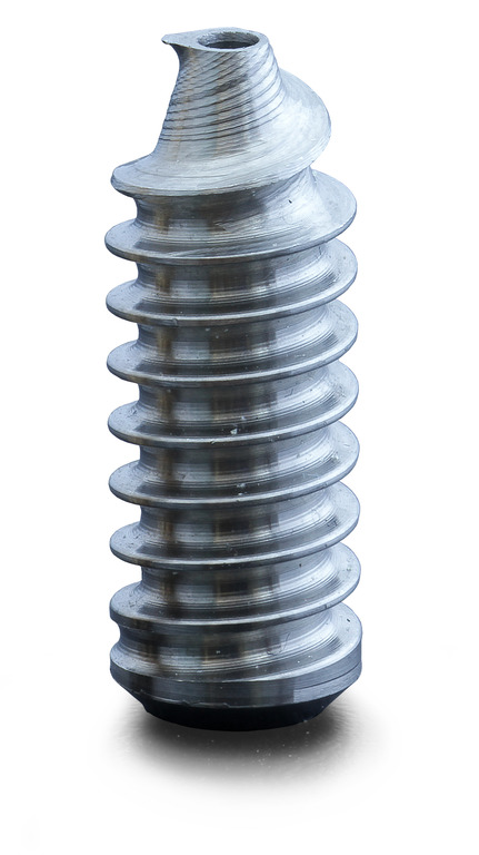 One of the prototypes of the orthopaedic screw.